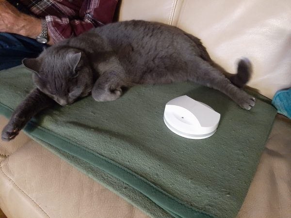 Kater Bobby mit dem Tracker kater bobby mit dem tracker